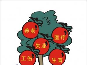 广州社保怎么网上查询? 广州社保怎样查询?