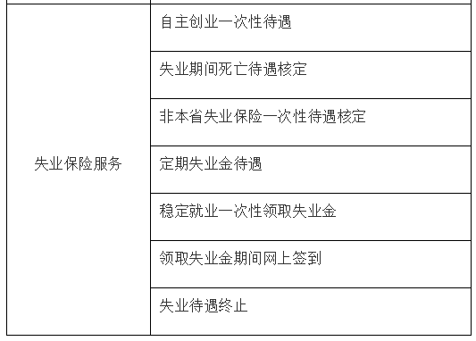 广州社保怎么网上查询？(图17)